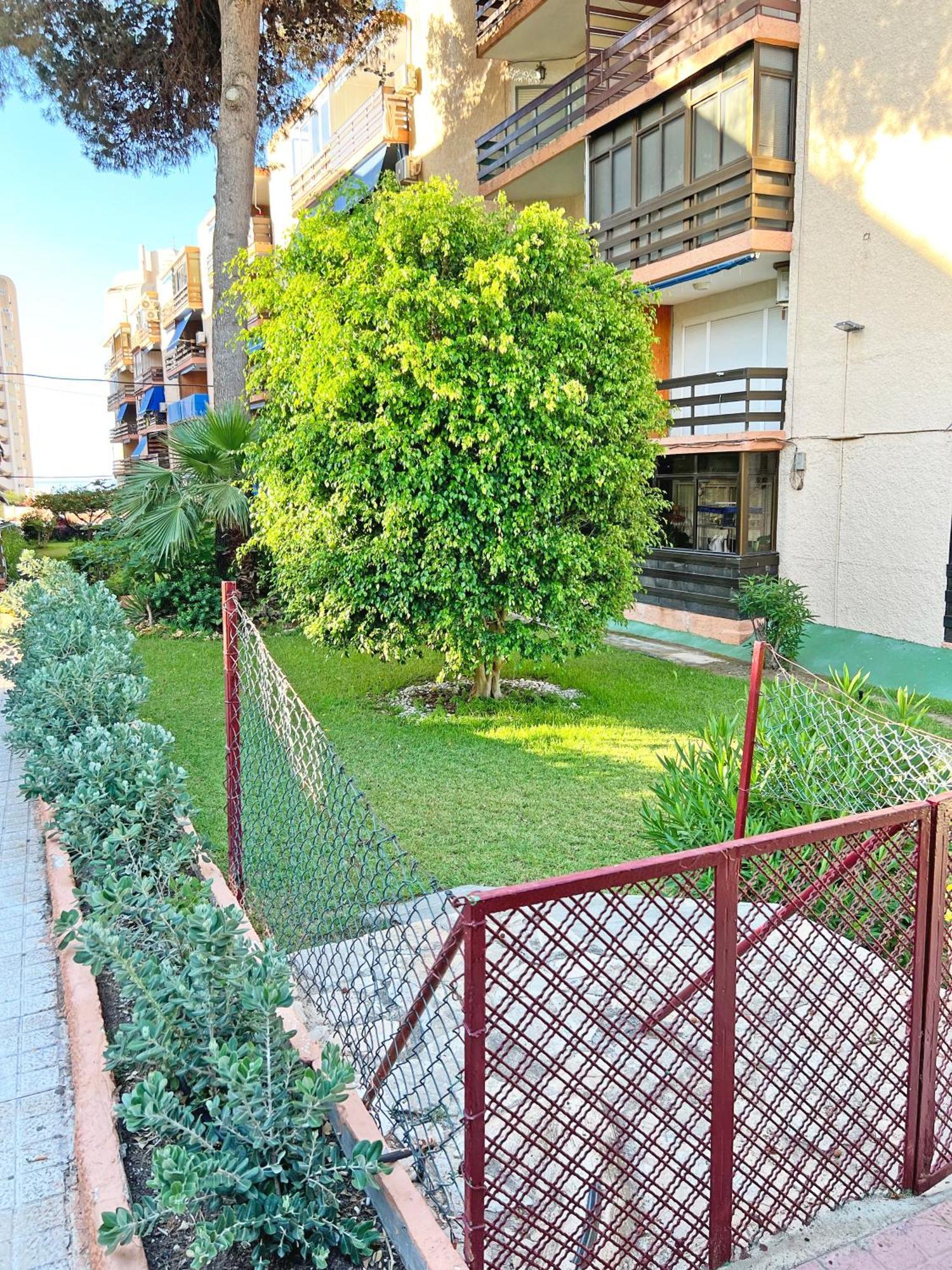 Apartamento Coqueto Con Piscina, Nuevo A 50M Del Mar, Parking Gratis El Campello Exterior foto
