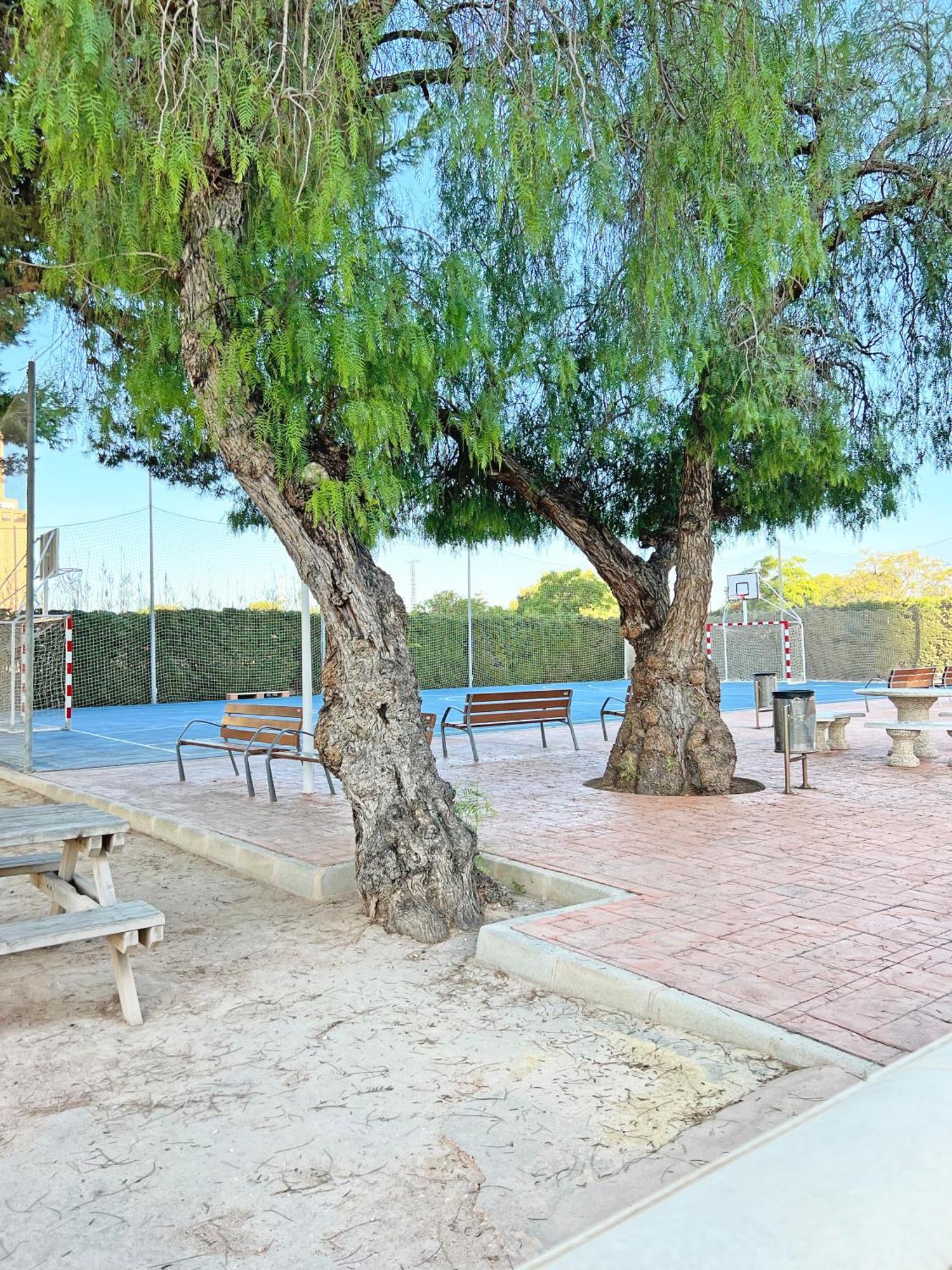 Apartamento Coqueto Con Piscina, Nuevo A 50M Del Mar, Parking Gratis El Campello Exterior foto