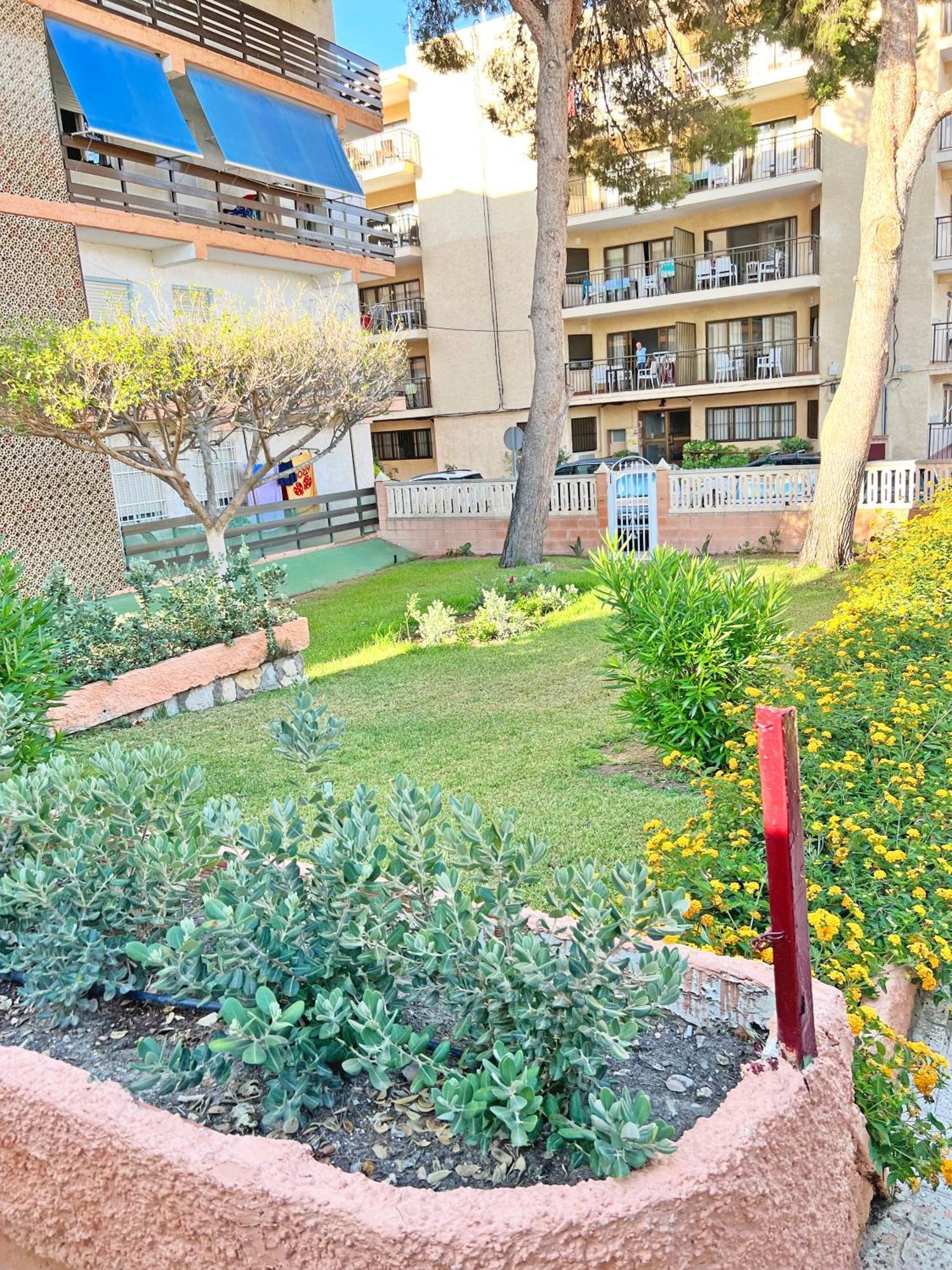 Apartamento Coqueto Con Piscina, Nuevo A 50M Del Mar, Parking Gratis El Campello Exterior foto