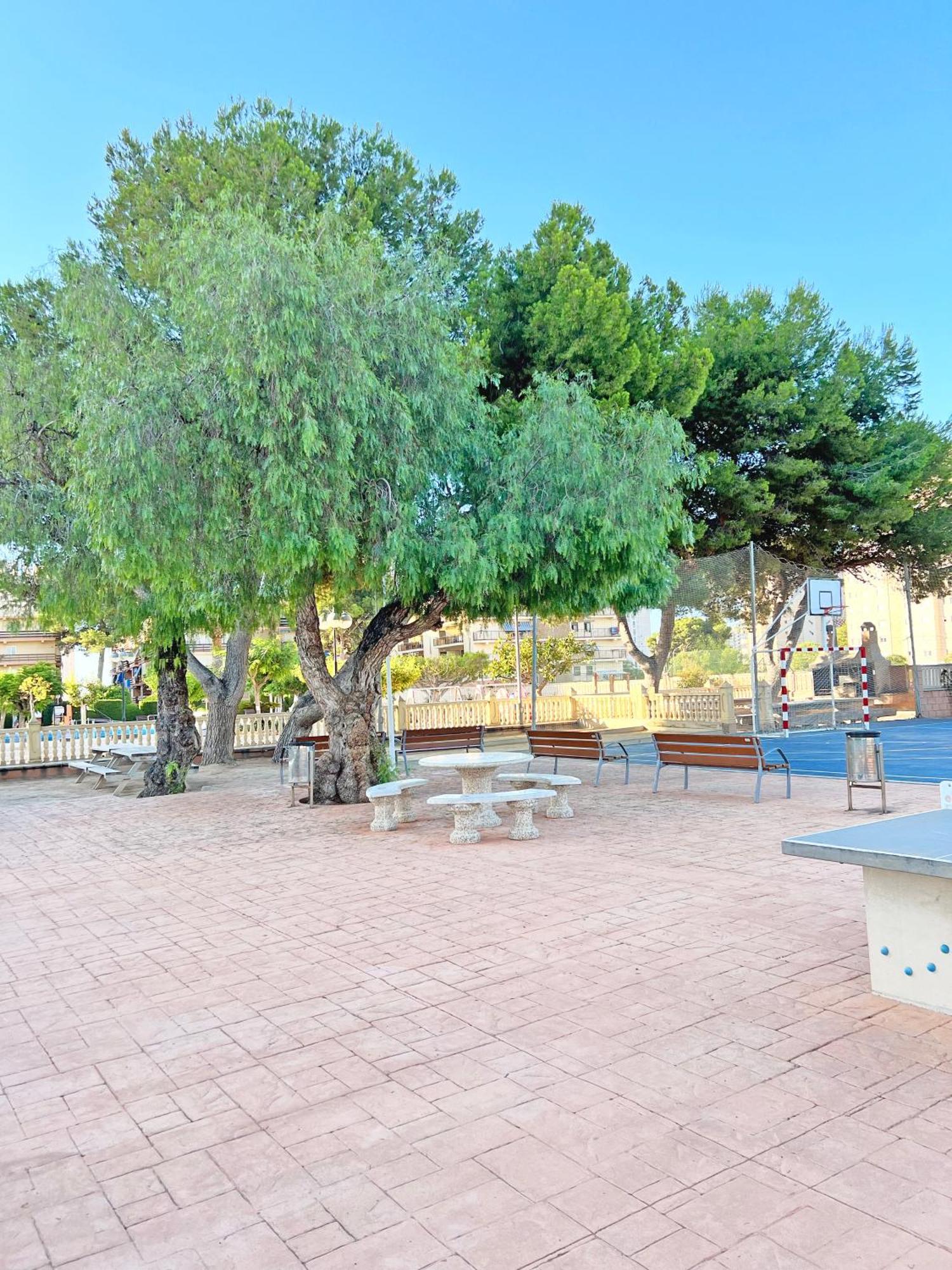 Apartamento Coqueto Con Piscina, Nuevo A 50M Del Mar, Parking Gratis El Campello Exterior foto